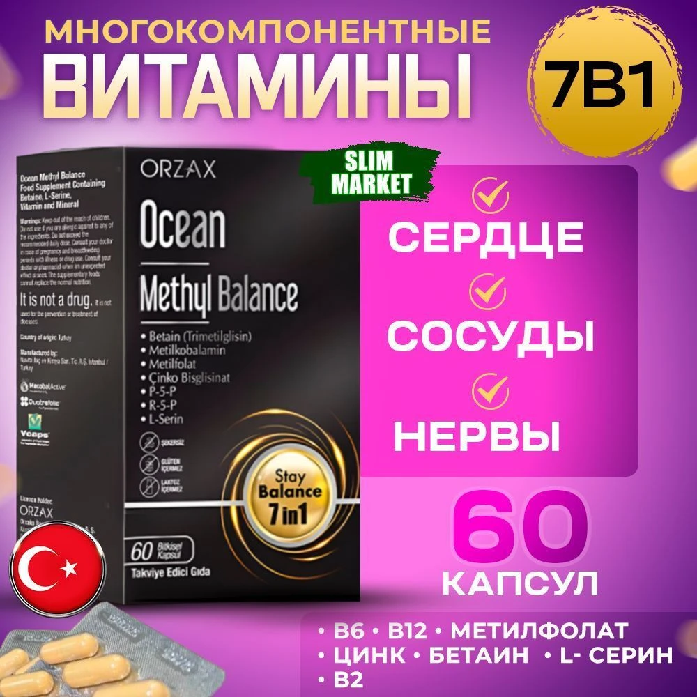 Ocean Methyl Balance 60